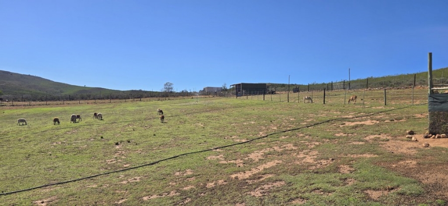 2 Bedroom Property for Sale in Twee Riviere Eastern Cape